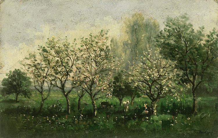 Charles Francois Daubigny Apple Trees in Blossom oil painting picture